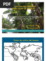 Download El cultivo de Banano prcticas de manejo by Nando Del Mal SN44494533 doc pdf