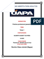 tarea 1 de pasantia barett.docx