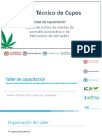 Taller de cupos Cupos de cultivo de plantas de cannabis.pdf