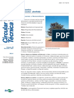 Circular141 PDF