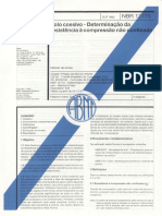 NBR 12770 PDF
