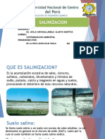 SALINIZACION