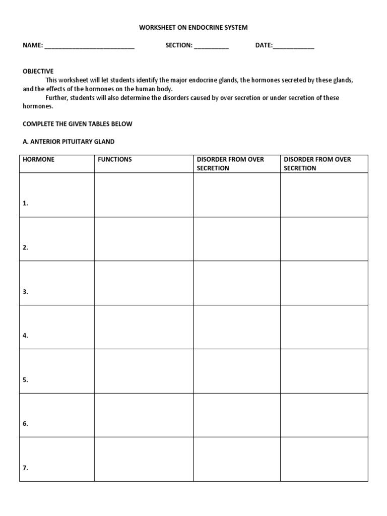 Worksheet On Endocrine System 3 | PDF | Endocrine System | Hormone