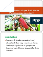 Efek Fitopreventif Minyak Buah Merah (Pandanus conoideus