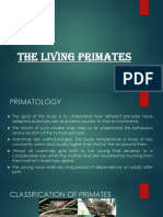 The Living Primates