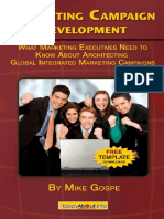 Tips - Marketing Campaign Development What Marketing Exec PDF