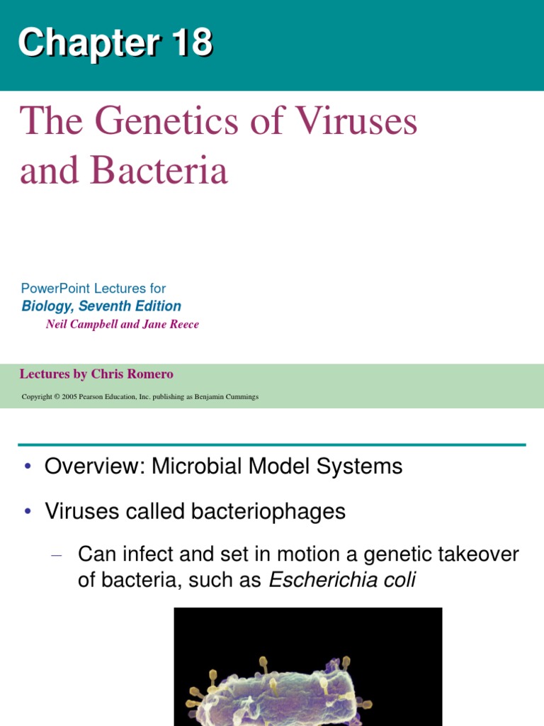 Chapter18 Genetics of Viruses and Bacteria | PDF | Bacteriophage | Virus