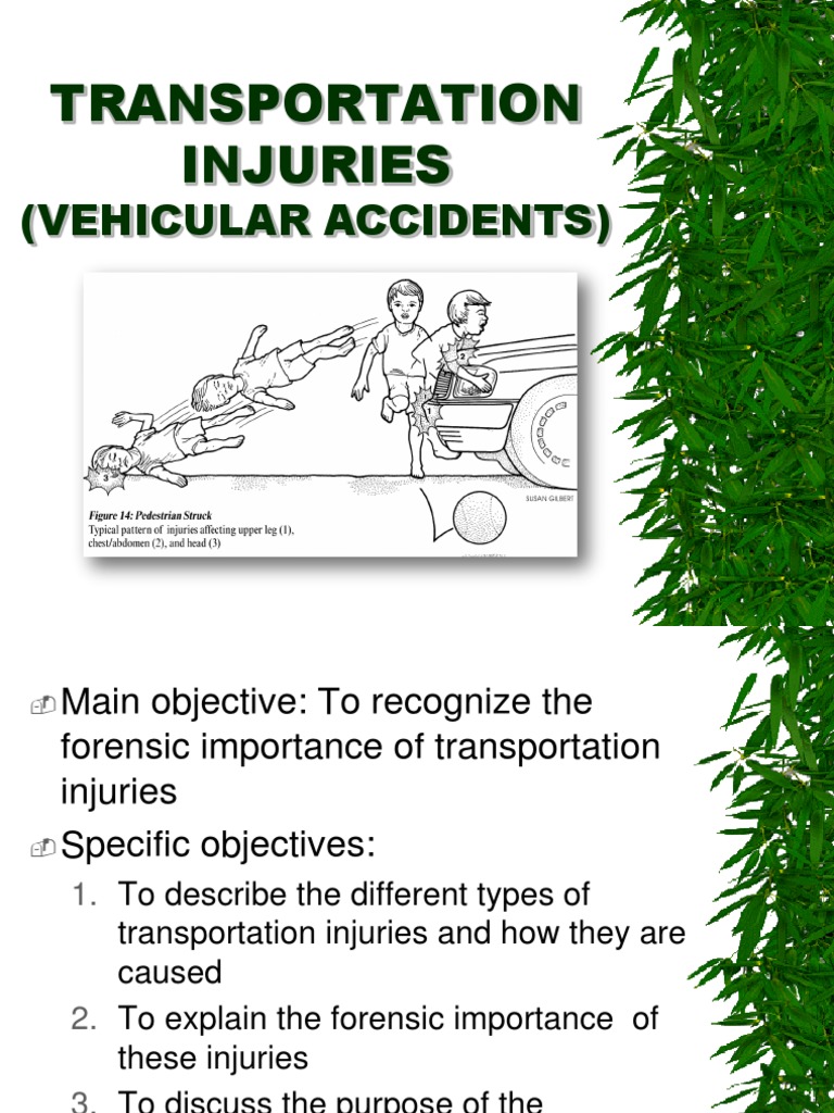 8-Transportation Injuries PDF | PDF | Traffic Collision | Seat Belt