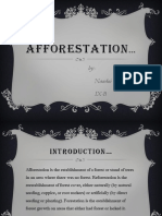 Afforestation Powerpoint For Nandni