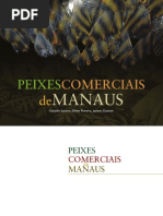 Peixes Comerciais de Manaus1