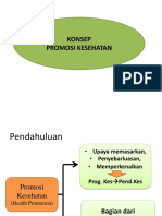 Promosi Kesehatan