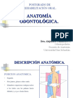 Anatomia Odontologica (PPTminimizer)
