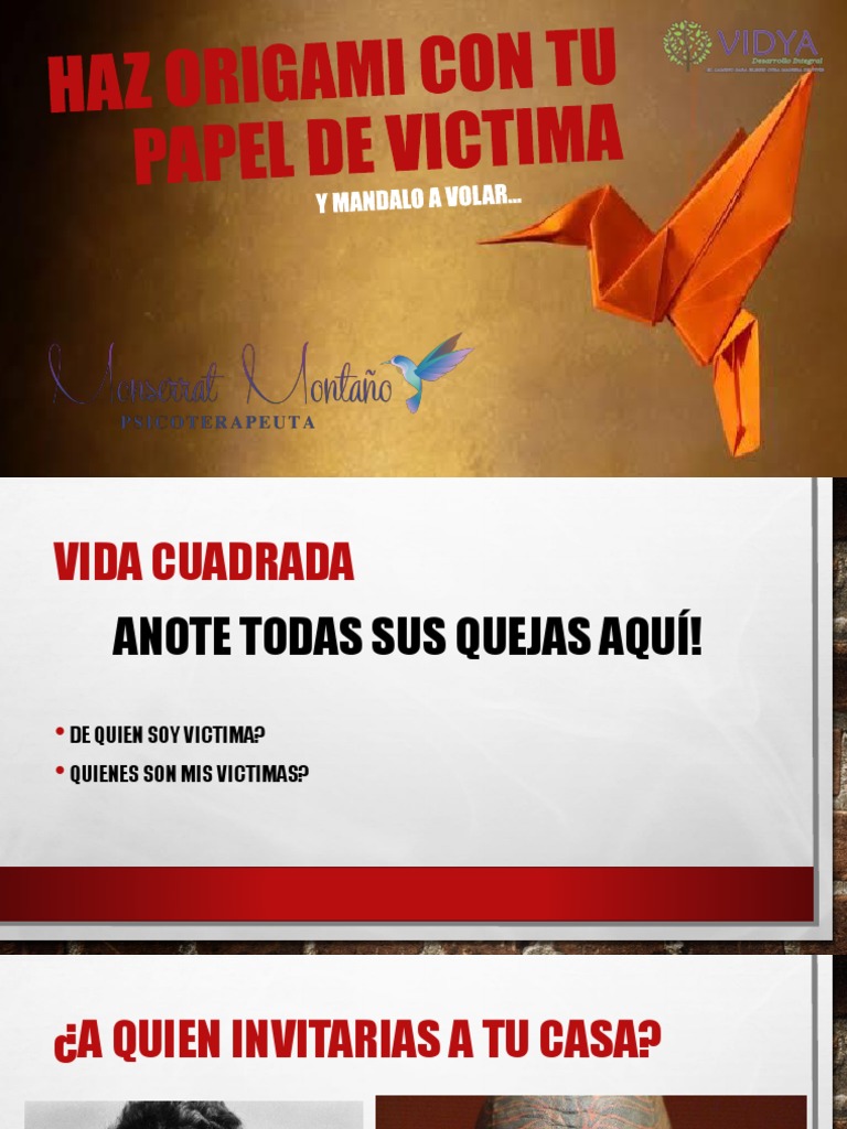 Haz Origami Con Tu Papel de Victima PDF Ira Ciencias del
