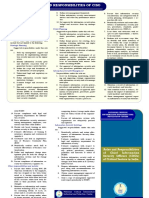 Ciso Roles PDF