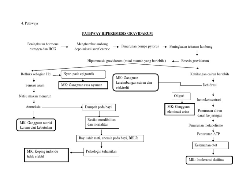 Hormonal and Physiological Pathways Leading to Hyperemesis Gravidarum | PDF