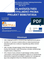 Torda Agnes Projektbemutato 20150625