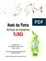 Apresentacao_Flores.pdf