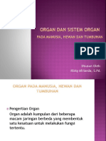 Organ Dan Sistem Organ Pada Manusia, Hewan