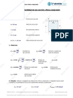 Documento - sección a flexo-compresión (pdf)