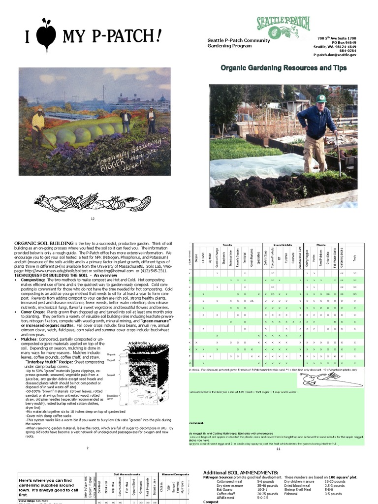 Organic Soil Building Techniques | PDF | Compost | Mulch