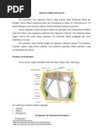 makalah sel tumbuhan 1