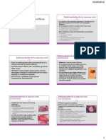 Enfermedades Especificas de La Mucosa Oral