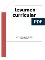 Resumen Curricular Luis Vasquez PDF