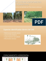 Propuesta de Sistema Agroforestal
