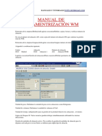 Manual de Paramentrizacion WM by Mundosap PDF