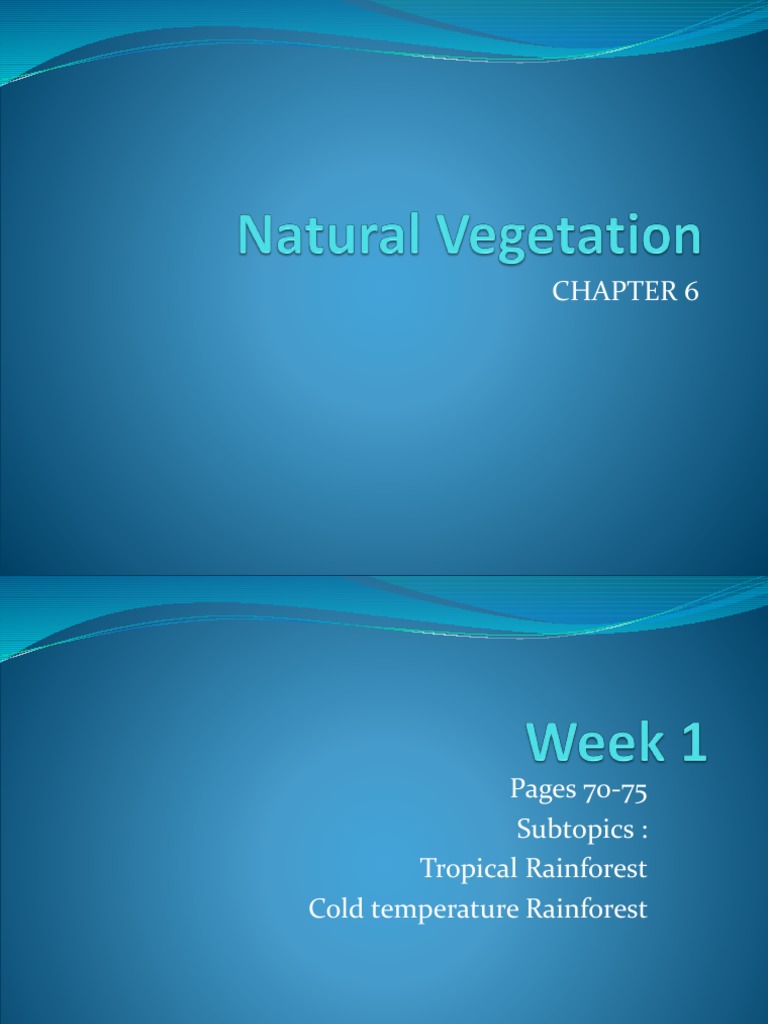 Tropical Rainforest Vegetation Overview | PDF | Rainforest | Trees