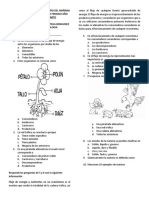 Examenes III Periodo