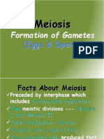 3-Rajesh-Meiosis Class On 12th Feb 2013