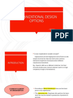 Organizational Design Options