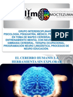 Proyecto de Neurotecnologia Colombia 