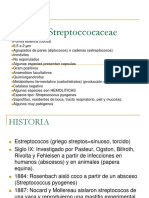 Familia Streptoccocaceae: Características y Especies Más Importantes
