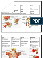 Muscle Innervation Chart II