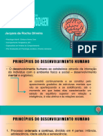 Princípios do desenvolvimento humano e neuroanatomia da aprendizagem