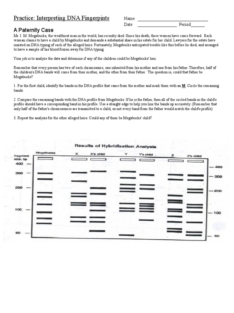 dna-fingerprinting-enrich-ws-pdf-dna-profiling-dna