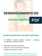 Sistema Digestório