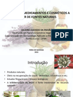 MINICURSO SENAI.pdf