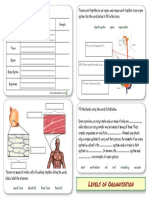 Levels of Organisation
