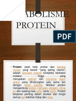 Metabolisme Protein