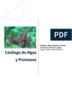 Catalogo de Algas