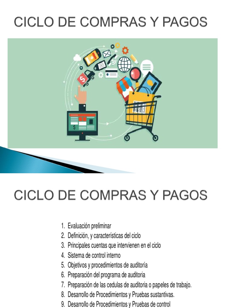 Capitulo Ii Ciclo de Compras y Pagos | PDF