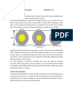 Ventanas de Trabajo Fibra Optica de Multimodo y Monomodo