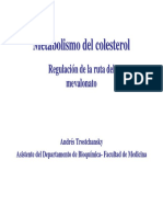 Metabolismo Del Colesterol 2004 PDF