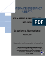 Lineamientos Informe Final