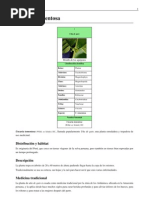 Download Uncaria Tomentosa - Ua de Gato  by NutriHealerscom SN44511349 doc pdf