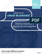 ES Cancer de Prostata Guia para Pacientes