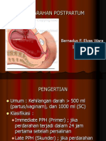 Perdarahan Post Partum Elvas